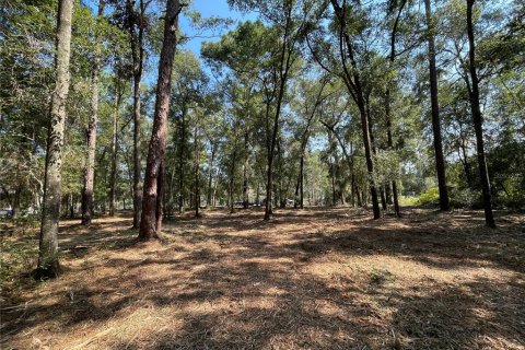 Land in Gainesville, Florida № 1407067 - photo 7