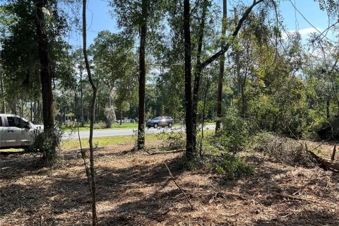 Land in Gainesville, Florida № 1407067 - photo 3