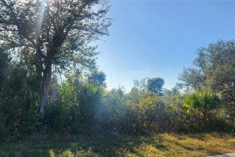 Terrain à vendre à Port Charlotte, Floride № 2162141 - photo 6
