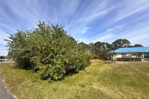 Terreno en venta en Lake Placid, Florida № 1938336 - foto 3