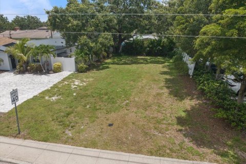Land in Sarasota, Florida № 1847950 - photo 3