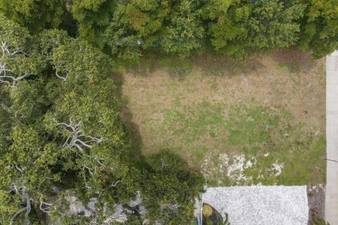 Land in Sarasota, Florida № 1847950 - photo 1