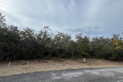 Land in Kissimmee, Florida № 2163594
