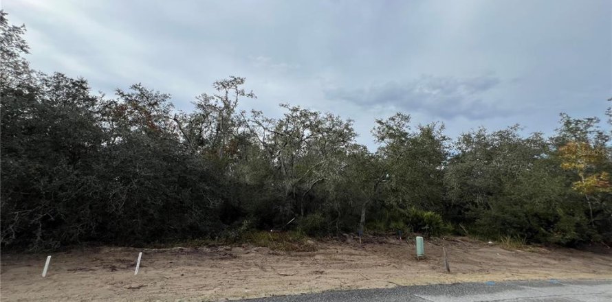 Land in Kissimmee, Florida № 2163594