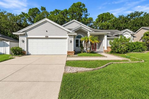 Villa ou maison à New Port Richey, Floride 3 chambres, 170.2 m2 № 2419290