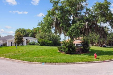 Land in Clermont, Florida № 2143083 - photo 11