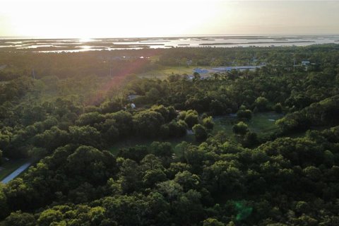Land in Oak Hill, Florida № 2101739 - photo 3