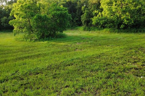 Land in Oak Hill, Florida № 2101739