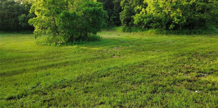 Land in Oak Hill, Florida № 2101739