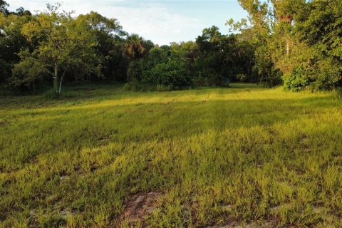 Land in Oak Hill, Florida № 2101739 - photo 8