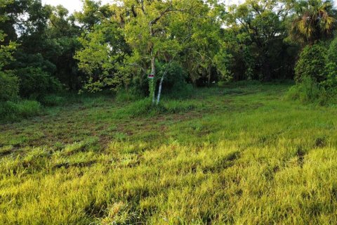 Land in Oak Hill, Florida № 2101739 - photo 7