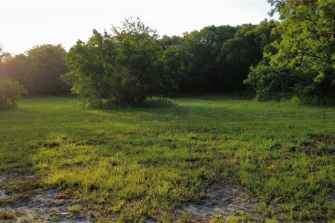 Land in Oak Hill, Florida № 2101739 - photo 4