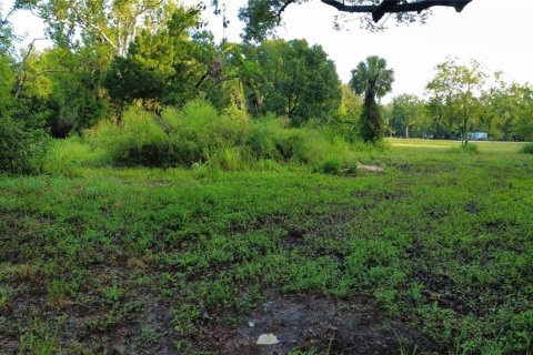 Land in Oak Hill, Florida № 2101739 - photo 5