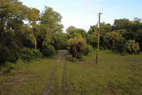 Land in Oak Hill, Florida № 2101739 - photo 9
