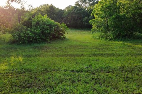 Land in Oak Hill, Florida № 2101739 - photo 6