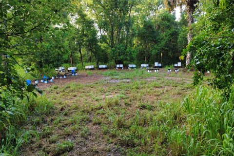 Land in Oak Hill, Florida № 2101739 - photo 10