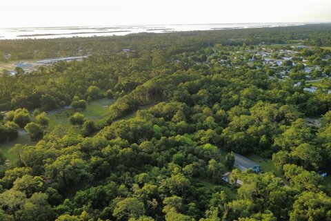 Land in Oak Hill, Florida № 2101739 - photo 2