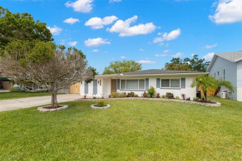 Casa en venta en Dunedin, Florida, 4 dormitorios, 158.4 m2 № 2094472 - foto 2