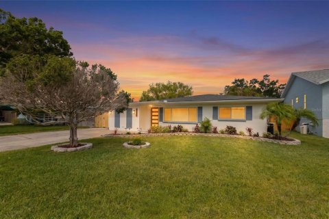 Casa en Dunedin, Florida 4 dormitorios, 158.4 m2 № 2094472