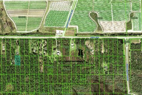 Land in Lake Wales, Florida № 2205999 - photo 2