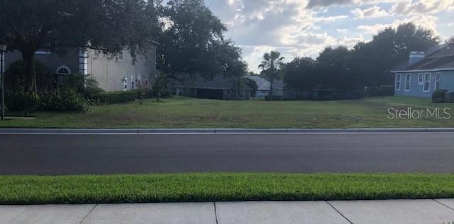 Land in Apopka, Florida № 1724223