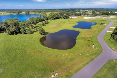 Land in Tavares, Florida № 1122256 - photo 18