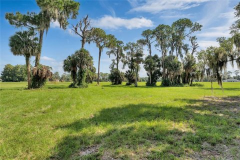 Land in Tavares, Florida № 1122256 - photo 12