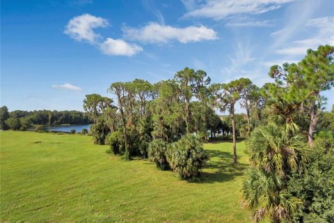 Land in Tavares, Florida № 1122256 - photo 15