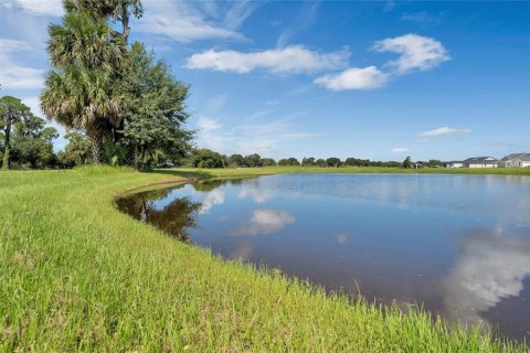 Land in Tavares, Florida № 1122256 - photo 7
