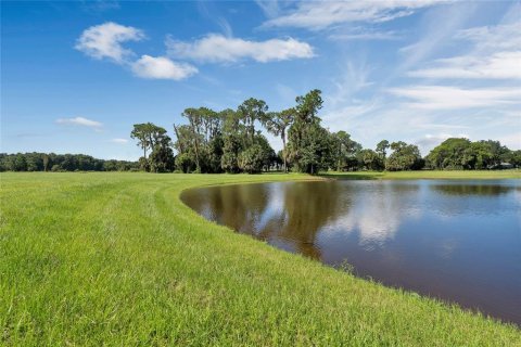 Land in Tavares, Florida № 1122256 - photo 3