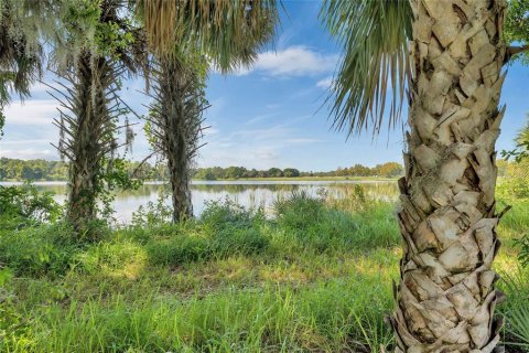 Land in Tavares, Florida № 1122256 - photo 11