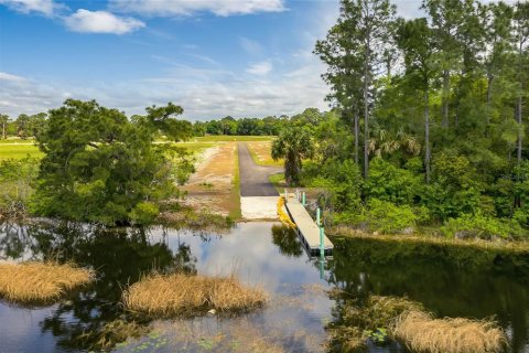 Land in Tavares, Florida № 1122256 - photo 25