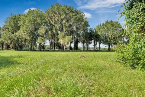 Land in Tavares, Florida № 1122256 - photo 8