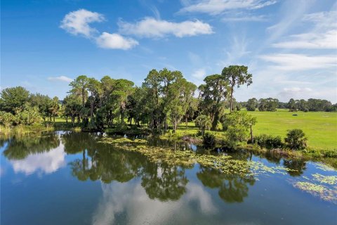Land in Tavares, Florida № 1122256 - photo 20