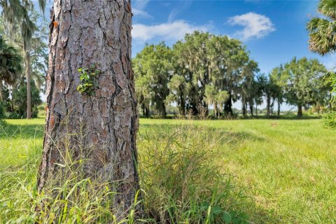 Land in Tavares, Florida № 1122256 - photo 9