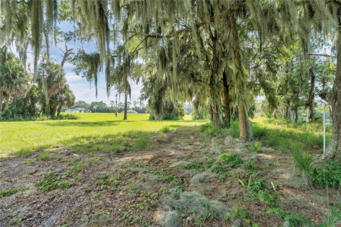 Land in Tavares, Florida № 1122256 - photo 13