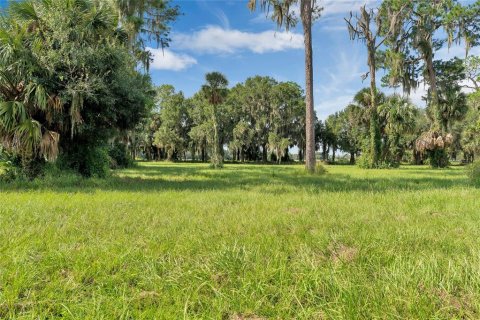 Land in Tavares, Florida № 1122256 - photo 4