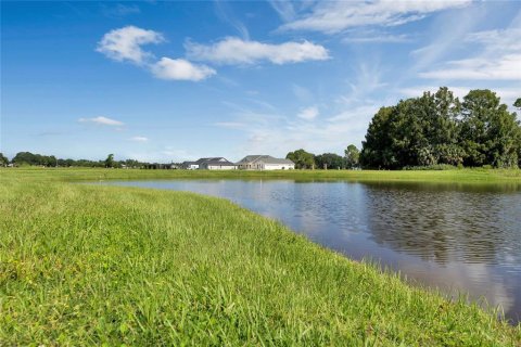 Land in Tavares, Florida № 1122256 - photo 5