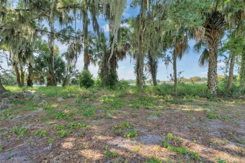 Land in Tavares, Florida № 1122256 - photo 10
