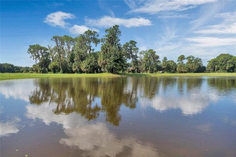 Land in Tavares, Florida № 1122256 - photo 1