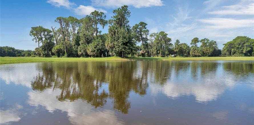 Land in Tavares, Florida № 1122256