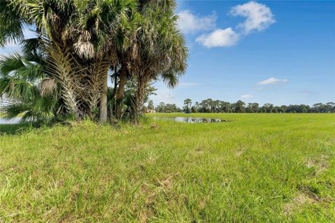 Land in Tavares, Florida № 1122256 - photo 14