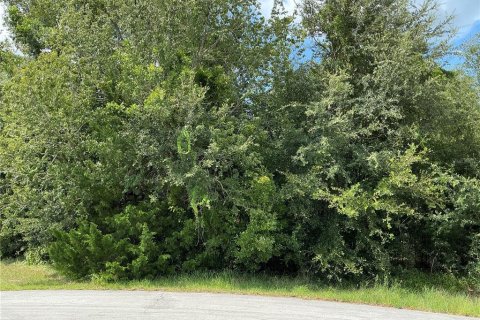 Terrain à Ocala, Floride № 2373657
