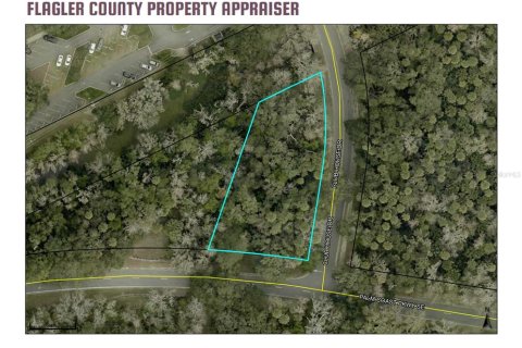 Land in Palm Coast, Florida № 2316534
