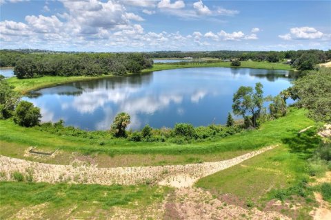 Villa ou maison à vendre à Clermont, Floride: 4 chambres, 378.11 m2 № 2208573 - photo 18