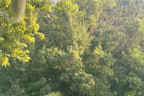 Terrain à Homosassa, Floride № 2369142