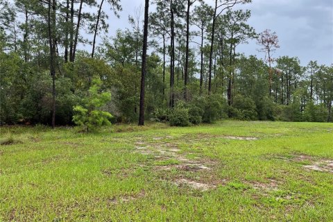 Land in Deltona, Florida № 2104046 - photo 8