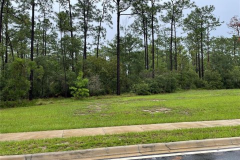 Land in Deltona, Florida № 2104046 - photo 3