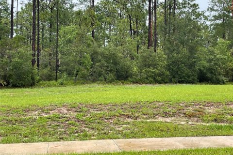 Land in Deltona, Florida № 2104046 - photo 4
