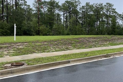 Land in Deltona, Florida № 2104046 - photo 7